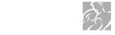 Grupo-Bolivar